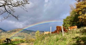 St. Martin, Vallée de Villé