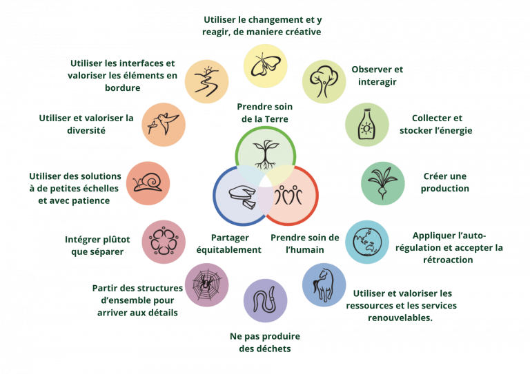 Principles of permaculture David Holmgren en français