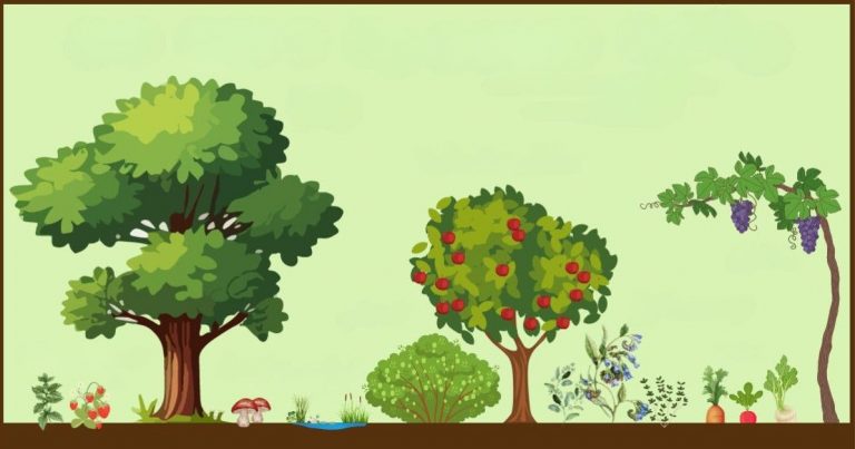 Le jardin-forêt est composé de 7 étages.