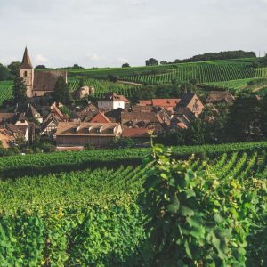 Alsace, route du vin