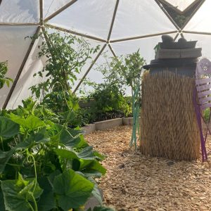 Intérieur de la serre