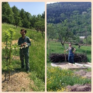 Julien & Roos, formateurs stage permaculture dans le jardin