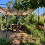 Terrasse @ Le nouveau printemps