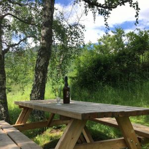 Pique nique avec bière