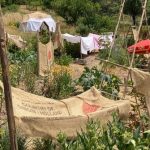 Le jardin pendant la canicule