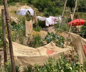 Le jardin pendant la canicule