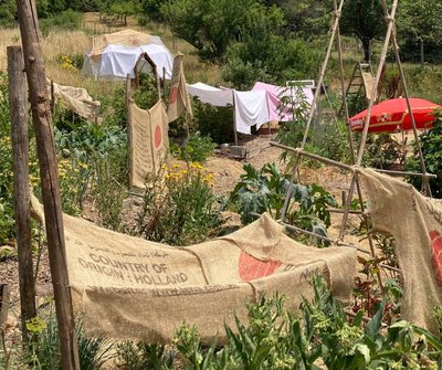 Le jardin pendant la canicule
